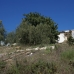 Competa property: Villa in Malaga 53697
