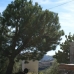 Competa property: Beautiful Villa for sale in Competa 53697