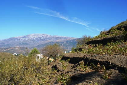 Competa property: Villa with 3 bedroom in Competa, Spain 53745