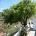 Competa property: Villa in Competa 53747