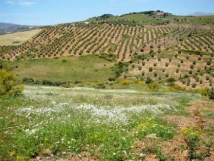 Land&nbsp;with&nbsp;bedroom&nbsp;in&nbsp;town&nbsp;53868