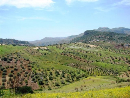 Land&nbsp;for&nbsp;sale&nbsp;in&nbsp;town,&nbsp;&nbsp;53868