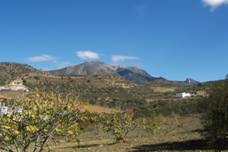 Apartment&nbsp;with&nbsp;2&nbsp;bedroom&nbsp;in&nbsp;town,&nbsp;Spain&nbsp;53938