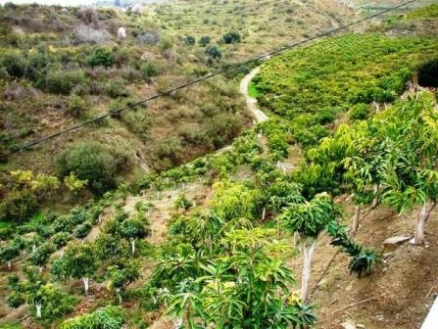 Villa&nbsp;for&nbsp;sale&nbsp;in&nbsp;town,&nbsp;&nbsp;54042