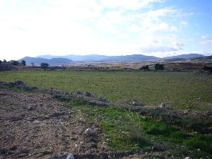 Land for sale in town, Alicante 54317
