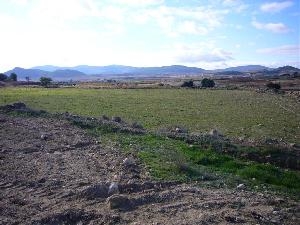 town Land 54317
