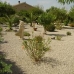 Beautiful Villa for sale in Murcia 54335