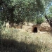 bedroom Cave House in town, Spain 54357