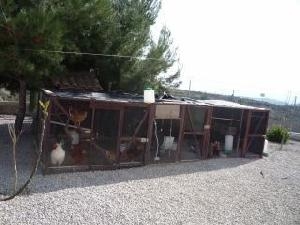 town, Spain | Villa for sale 54375