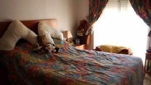 Alicante&nbsp;property&nbsp;|&nbsp;3&nbsp;bedroom&nbsp;Duplex&nbsp;54378