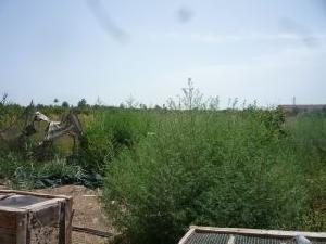 House&nbsp;for&nbsp;sale&nbsp;in&nbsp;town,&nbsp;Alicante&nbsp;54381