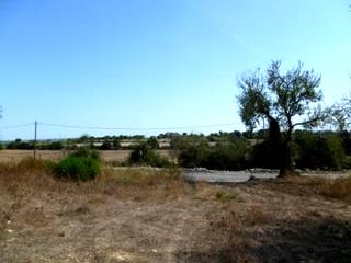 Land for sale in town 63533