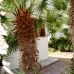 Betlem property: Mallorca Villa, Spain 63557