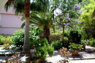 Portals&nbsp;Nous&nbsp;property:&nbsp;Bungalow&nbsp;for&nbsp;sale&nbsp;in&nbsp;Portals&nbsp;Nous&nbsp;63569