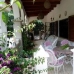 Portals Nous property: 3 bedroom Bungalow in Mallorca 63569
