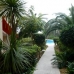 Palma De Mallorca property:  Apartment in Mallorca 63572