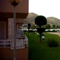 Alcudia property: Apartment for sale in Alcudia 63584