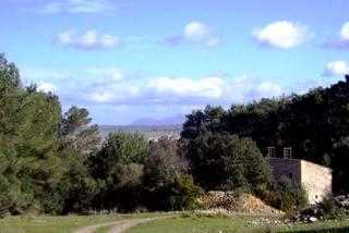 Petra&nbsp;property:&nbsp;Petra&nbsp;House&nbsp;63592