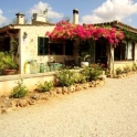 Sineu property: Finca for sale in Sineu 63598