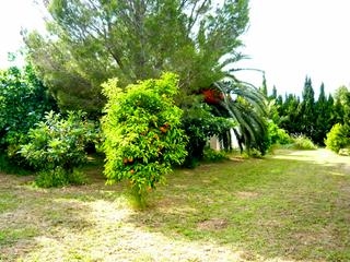 Llucmajor property: Mallorca property | 3 bedroom House 63638
