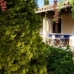 Selva property: Mallorca Finca, Spain 63685