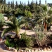 3 bedroom Finca in Mallorca 63701