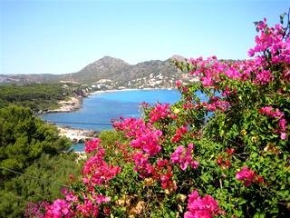 Canyamel property: House in Mallorca for sale 63705
