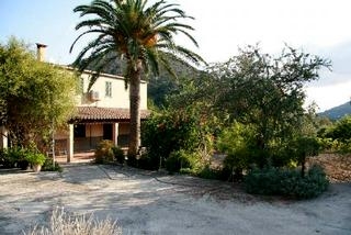 Alcudia property: House in Mallorca for sale 63717