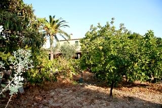 Alcudia property: Mallorca property | 5 bedroom House 63717