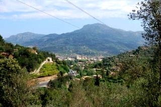 Soller property: Finca for sale in Soller 63728