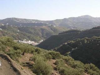 Competa property: Malaga Villa 64341