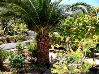 Moraira property: Moraira Villa 64715