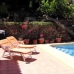 Pedreguer property: Beautiful Villa for sale in Pedreguer 64738