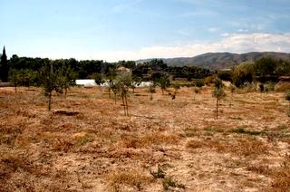 Ontinyent property: Villa in Valencia for sale 64762