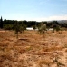 Ontinyent property: Villa in Ontinyent 64762