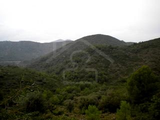 Benissa property: Finca in Alicante for sale 64771