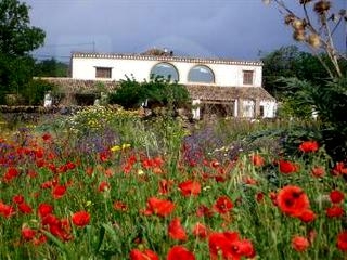 Gata De Gorgos property: Finca for sale in Gata De Gorgos 64822