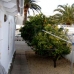 Moraira property: Beautiful Villa for sale in Alicante 64868