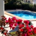 Nucleo Benitachell property: Nucleo Benitachell, Spain Villa 64967