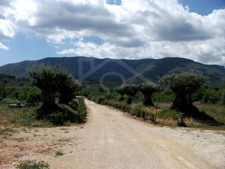 Murla property: Villa for sale in Murla, Spain 65009