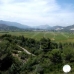 Lliber property: Beautiful Finca for sale in Alicante 65050