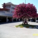 Javea property: Apartment in Alicante 65071