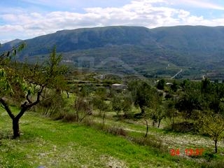 Planes property: Land for sale in Planes, Alicante 65097