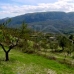 Planes property: Land in Alicante 65097