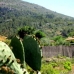 Jalon property: 5 bedroom Villa in Jalon, Spain 65114