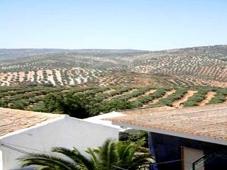 Townhome with 7 bedroom in town 65124