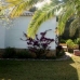 Javea property: Beautiful Villa to rent in Alicante 65153