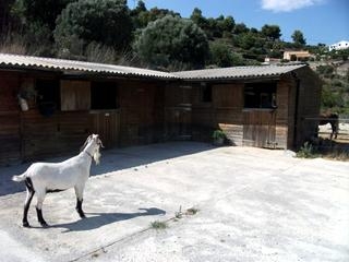 Benissa property: Finca for sale in Benissa, Alicante 65183
