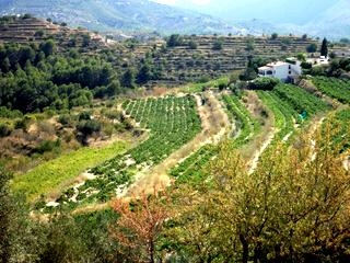 Benissa property: Alicante property | 2 bedroom Finca 65183