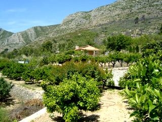 Lliber property: Finca for sale in Lliber, Alicante 65296